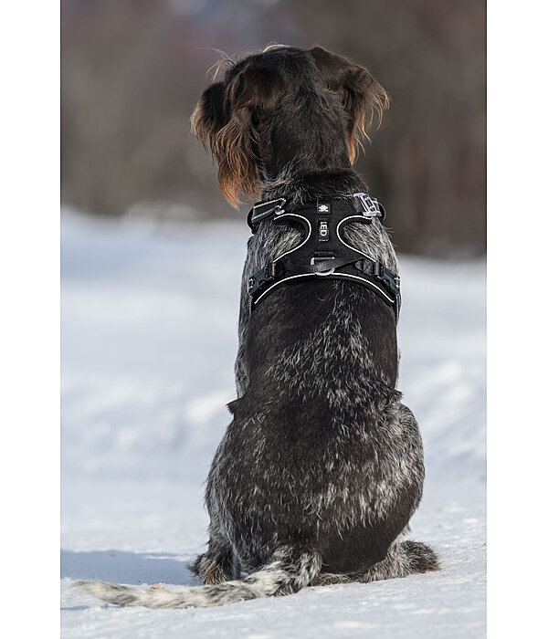 Hundegeschirr Expedition