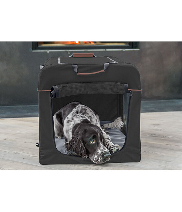 Faltbare Transport-Box Kansas