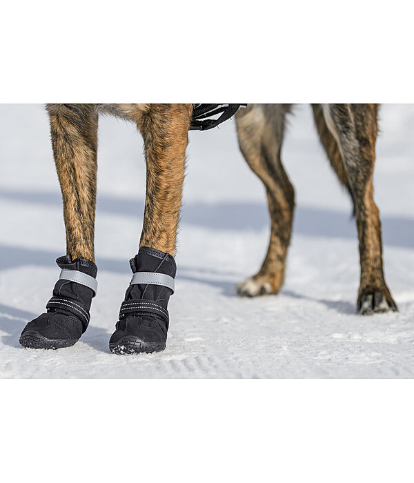 Pfotenschutz-Schuhe Antarctica für Hunde