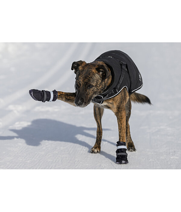 Pfotenschutz-Schuhe Antarctica für Hunde