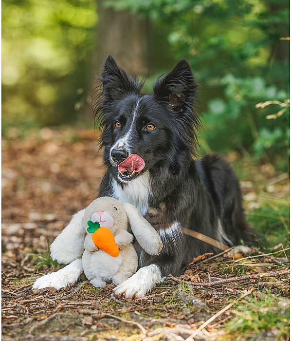 Plschspielzeug Bunny fr Hunde