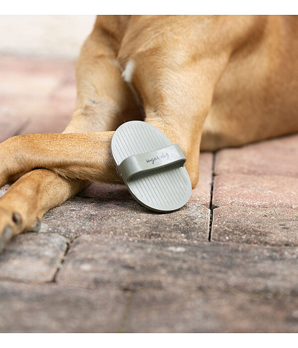 Hunde-Striegel Zeyna