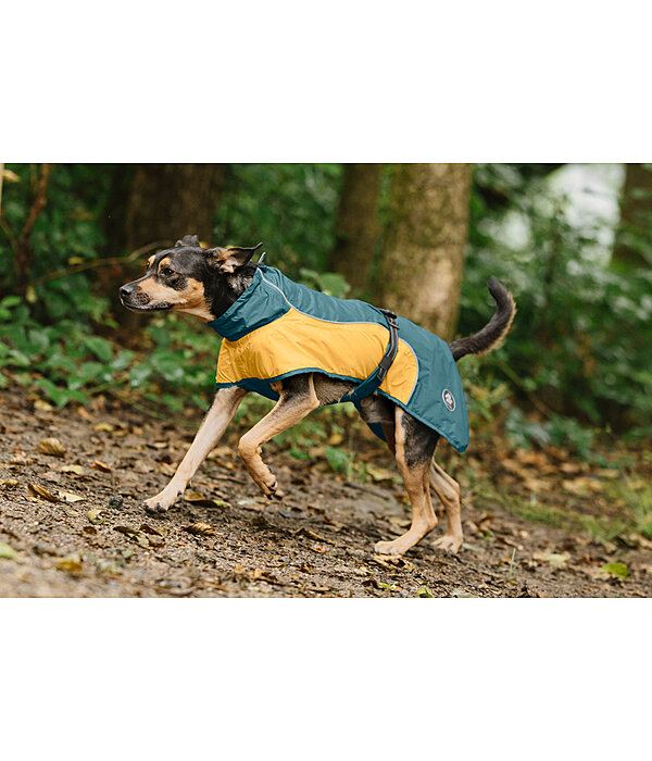 Lightweight Hunde-Regenmantel  Alma, 0 g