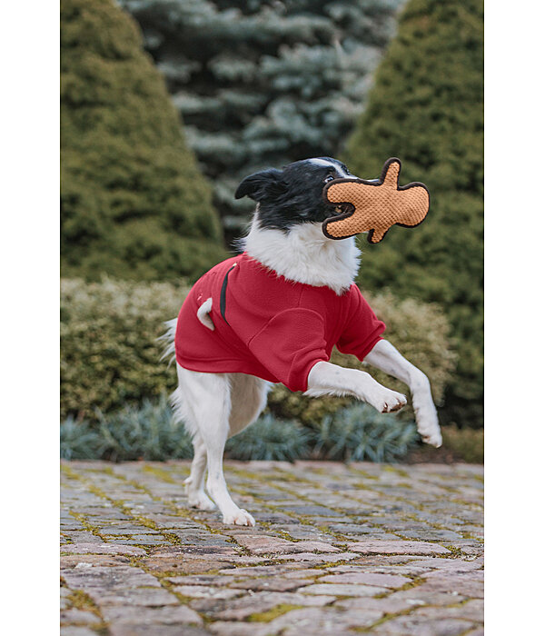 Hundespielzeug Gingerman