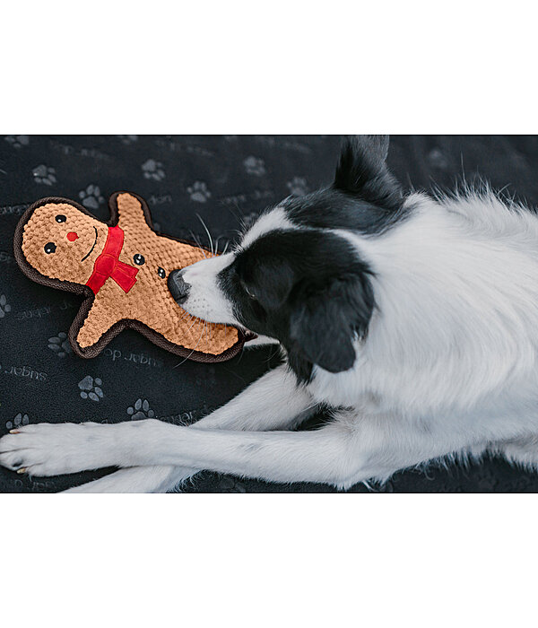Hundespielzeug Gingerman