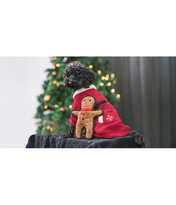 Hundespielzeug Gingerman