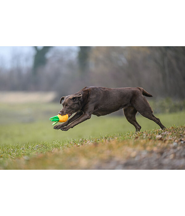 Hundespielzeug Pineapple