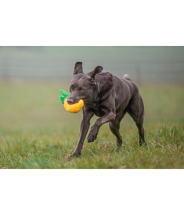 Hundespielzeug Pineapple