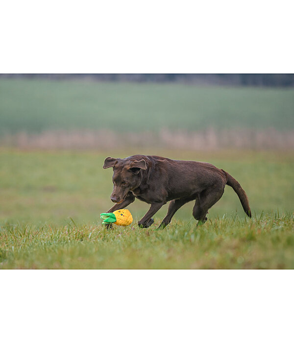 Hundespielzeug Pineapple