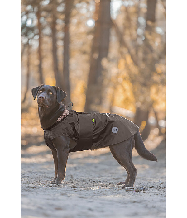 Hunde-Regenmantel Emmi, 0 g