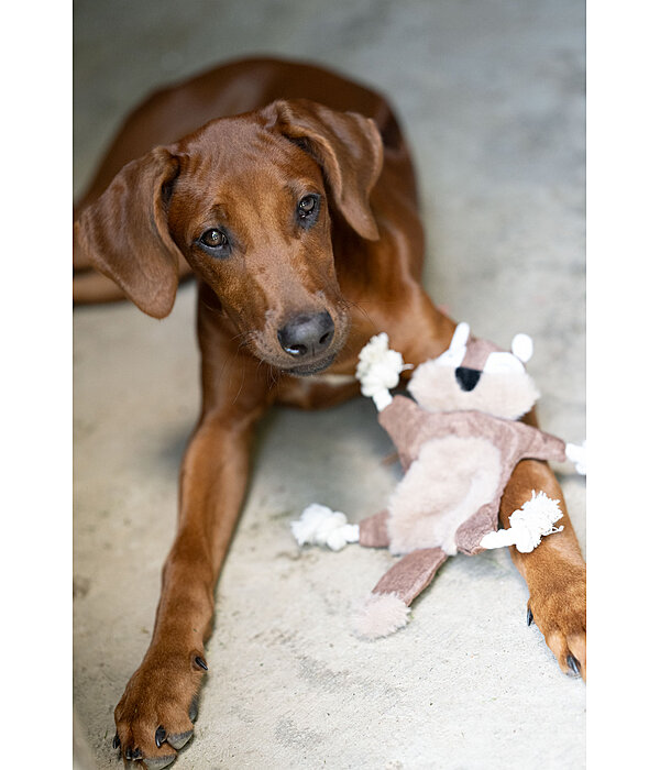 Hundespielzeug Eichh�rnchen