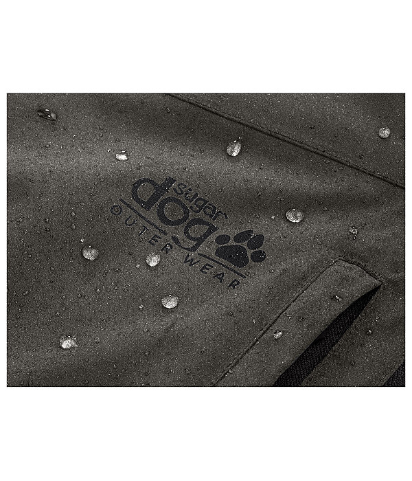 Ganzjahres-Outdoorjacke Grand  Forrest