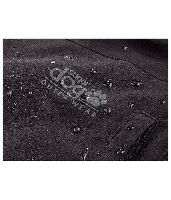 Ganzjahres-Outdoorjacke Grand  Forrest