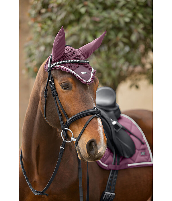 Fliegenhaube Swiss Design