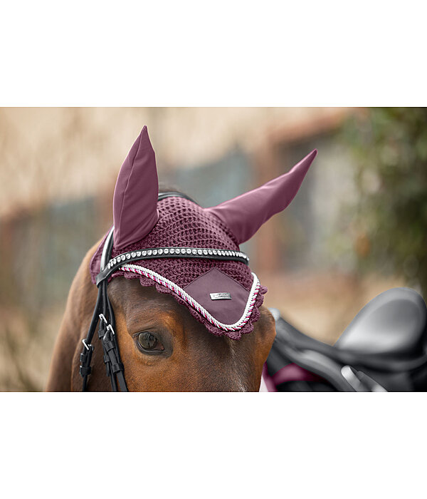 Fliegenhaube Swiss Design