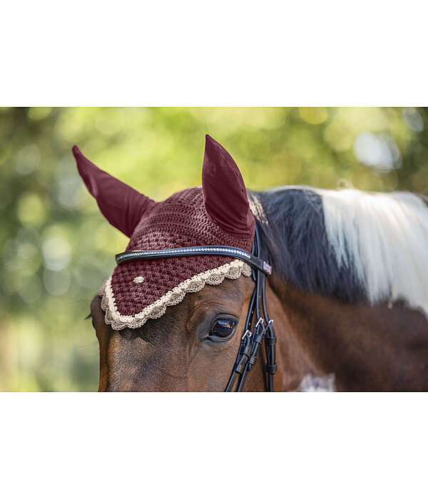 Fliegenhaube Primary