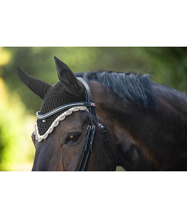 Fliegenhaube Primary