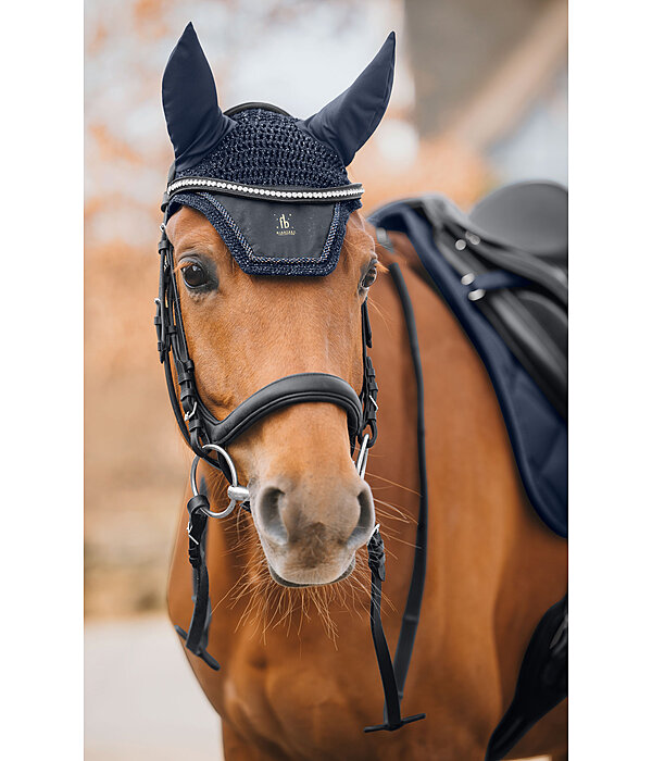 Fliegenhaube Night Sky