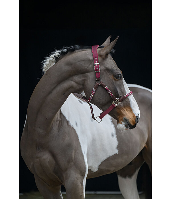 Anatomisches Halfter Sophistication