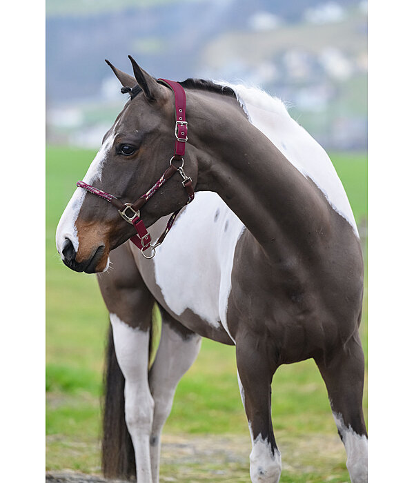 Anatomisches Halfter Sophistication