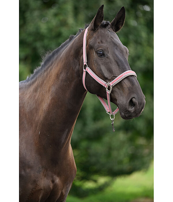 Halfter Essential II