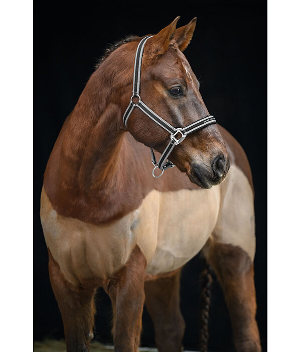 Halfter Essential II