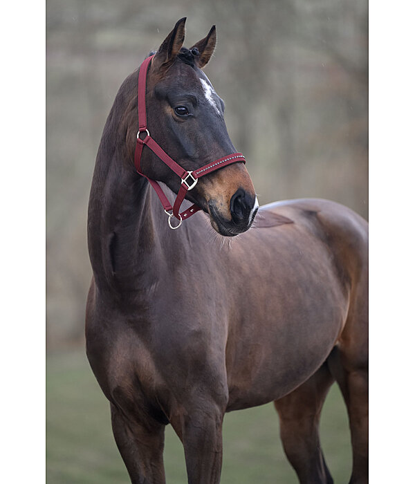 Halfter Twinkle
