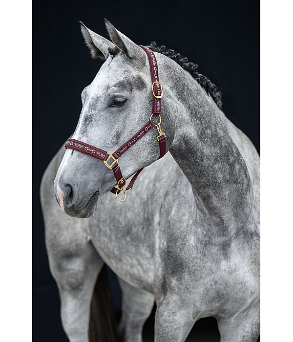 Halfter Signature III