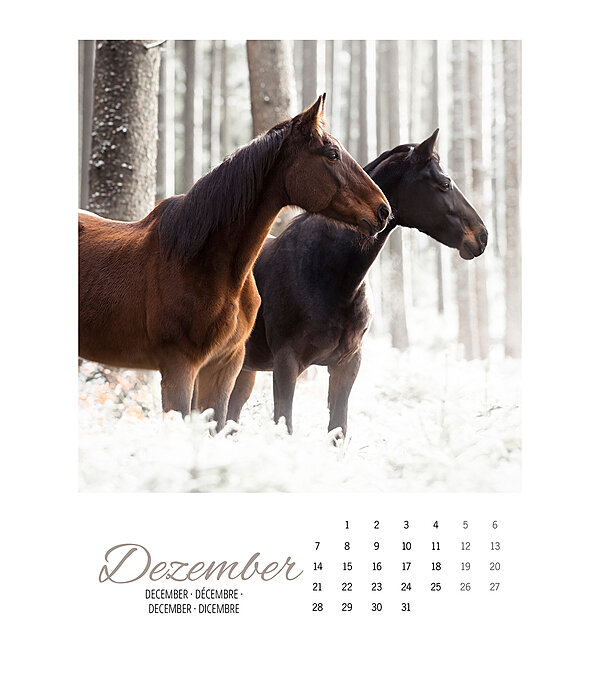 Pferdekalender 2026  mit deutschem Kalendarium
