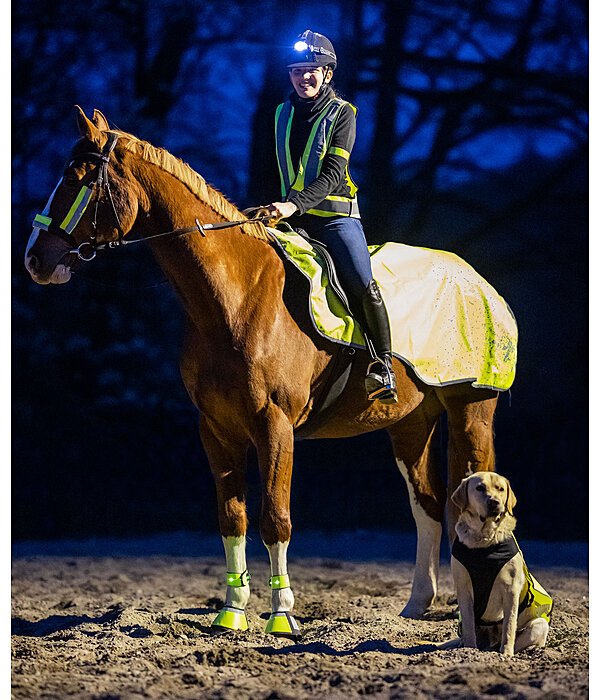 Reflex-Ausreitdecke Bright