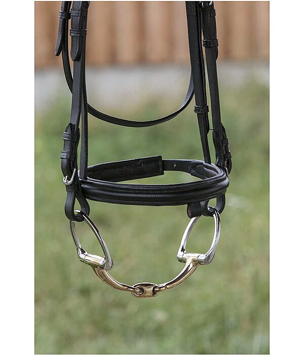 D-Ring-Trense Anatomica doppelt gebrochen Stärke 16 mm