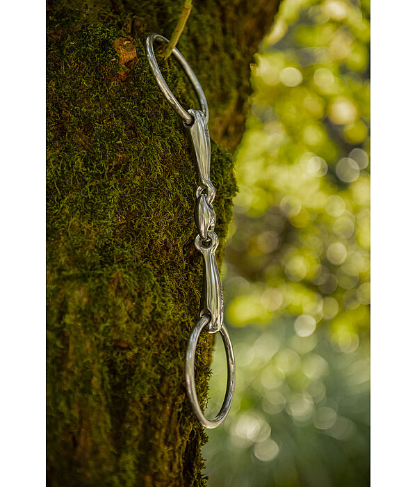 Ausbildungsgebiss doppelt gebrochen St�rke 14 mm