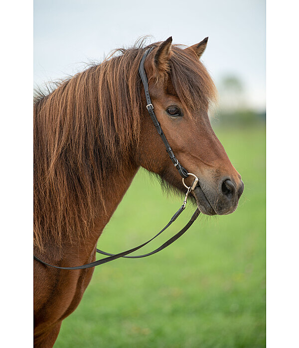 Isl�nder-Olivenkopftrense LOCK-UP