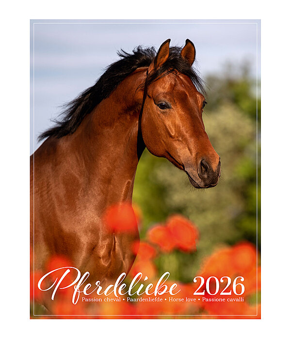 Pferdeliebe Kalender 2026