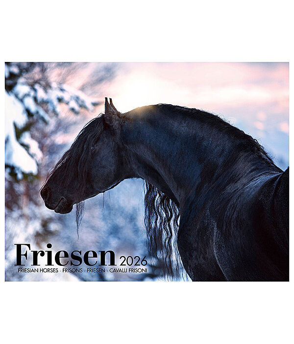 Friesen Kalender 2026