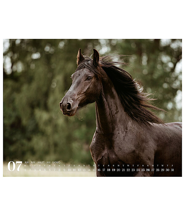 Friesen Kalender 2026