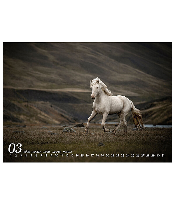 Islnder Kalender 2026