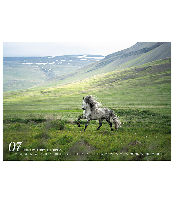 Islnder Kalender 2026