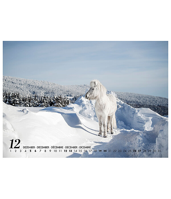Islnder Kalender 2026