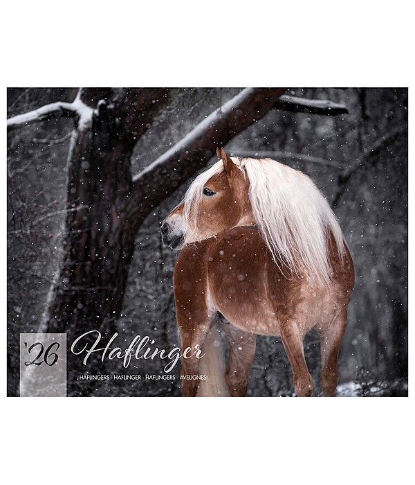 Haflinger Kalender 2026