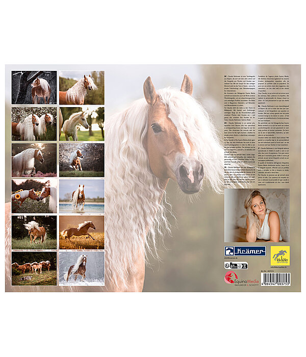Haflinger Kalender 2026