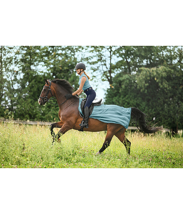 Fliegen-Ausreitdecke Economy Light