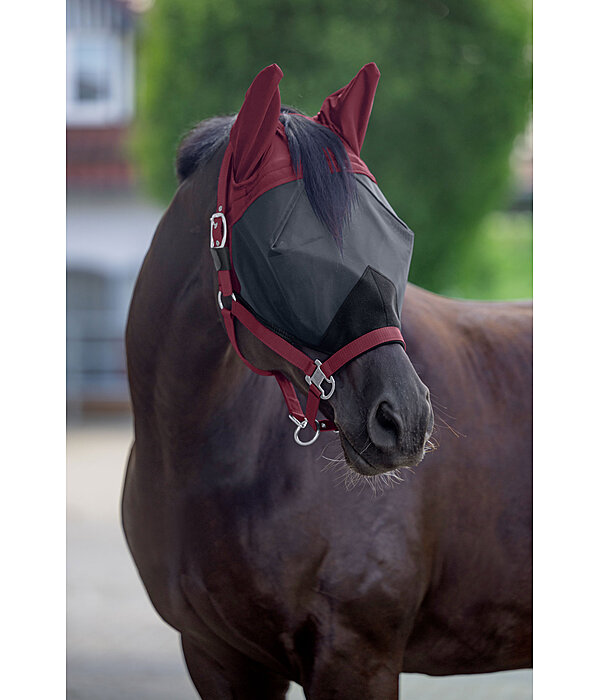Fliegenschutz-Halfter mit integrierter Fliegenmaske All-In-One