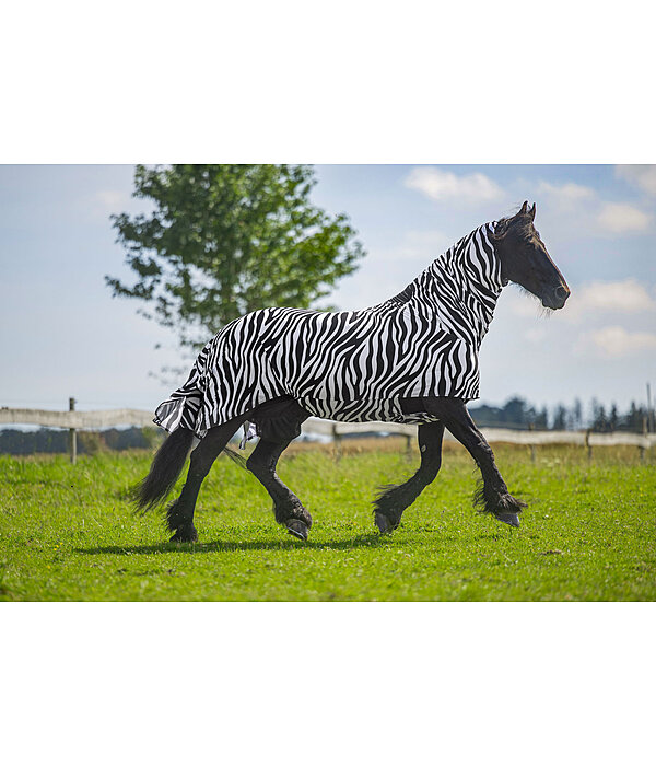 Zebra-Ekzemerdecke Gibson II