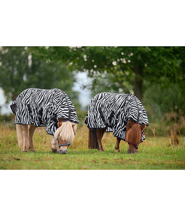 Zebra Fliegendecke Combo