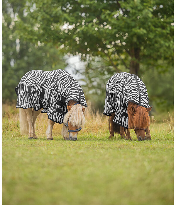 Zebra Fliegendecke Combo
