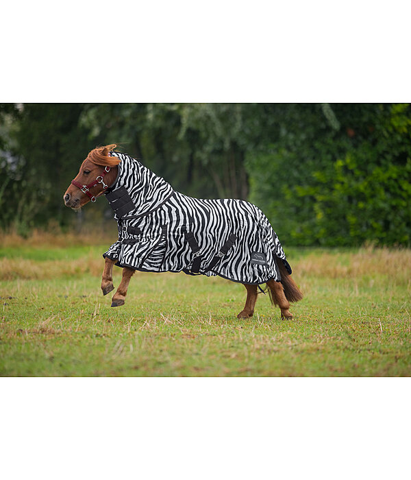 Zebra Fliegendecke Combo