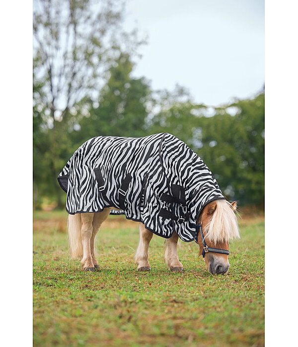Zebra Fliegendecke Combo