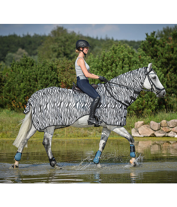 Zebra Fliegen-Ausreitdecke