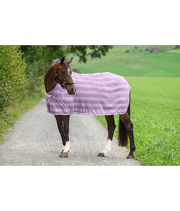 Fliegendecke Economy Light